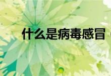 什么是病毒感冒（什么是病毒性腸炎）