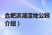 合肥濱湖濕地公園（關(guān)于合肥濱湖濕地公園的介紹）