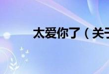 太愛你了（關(guān)于太愛你了的介紹）