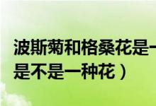 波斯菊和格?；ㄊ且环N花嗎（波斯菊和格桑花是不是一種花）