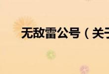 無敵雷公號（關(guān)于無敵雷公號的介紹）