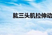 肱三頭肌拉伸動(dòng)作（肱三頭肌在哪）