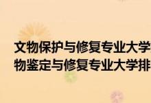 文物保護(hù)與修復(fù)專業(yè)大學(xué)排名2020全國(guó)排行榜（2022年文物鑒定與修復(fù)專業(yè)大學(xué)排名）