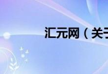 匯元網(wǎng)（關(guān)于匯元網(wǎng)的介紹）