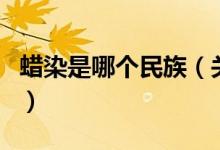 蠟染是哪個(gè)民族（關(guān)于蠟染是哪個(gè)民族的介紹）