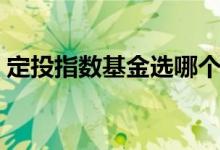 定投指數(shù)基金選哪個好（債券型的是怎么樣）