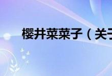 櫻井菜菜子（關(guān)于櫻井菜菜子的介紹）