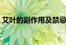 艾葉的副作用及禁忌（艾葉的副作用與禁忌）