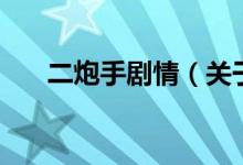 二炮手劇情（關于二炮手劇情的介紹）