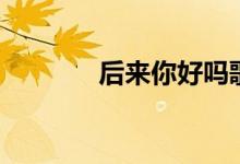 后來你好嗎歌詞（歌手簡介）