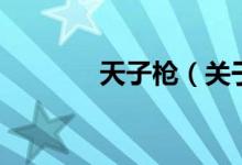 天子槍（關(guān)于天子槍的介紹）