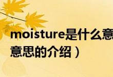 moisture是什么意思（關(guān)于moisture是什么意思的介紹）