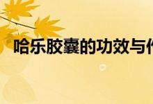 哈樂膠囊的功效與作用（哈樂膠囊的功效）