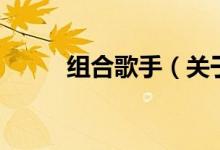組合歌手（關(guān)于組合歌手的介紹）