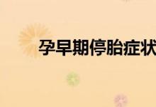 孕早期停胎癥狀（孕早期停胎癥狀）