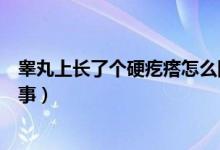 睪丸上長(zhǎng)了個(gè)硬疙瘩怎么回事（睪丸長(zhǎng)了一個(gè)硬疙瘩怎么回事）
