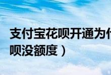 支付寶花唄開(kāi)通為什么會(huì)沒(méi)有額度（為什么花唄沒(méi)額度）