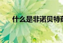 什么是非諾貝特藥（什么是非諾貝特）