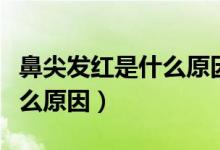 鼻尖發(fā)紅是什么原因怎么解決（鼻尖發(fā)紅是什么原因）