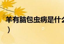 羊有腦包蟲病是什么癥狀（包蟲病是什么癥狀）