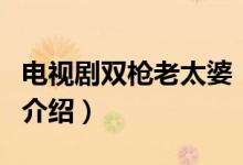 電視劇雙槍老太婆（關(guān)于電視劇雙槍老太婆的介紹）