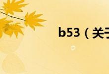 b53（關(guān)于b53的介紹）