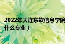 2022年大連東軟信息學(xué)院在云南招生計(jì)劃及招生人數(shù)（都招什么專業(yè)）
