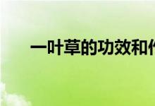 一葉草的功效和作用（一葉草的功效）