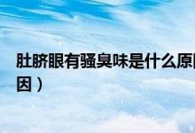 肚臍眼有騷臭味是什么原因（肚臍眼一扣手上有味是什么原因）