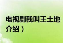 電視劇我叫王土地（關(guān)于電視劇我叫王土地的介紹）