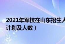 2021年軍校在山東招生人數(shù)估計(jì)（2022各軍校在山東招生計(jì)劃及人數(shù)）