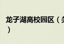 龍子湖高校園區(qū)（關(guān)于龍子湖高校園區(qū)的介紹）