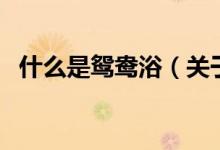 什么是鴛鴦?。P于什么是鴛鴦浴的介紹）