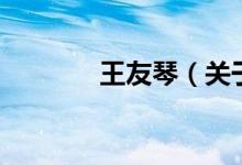 王友琴（關于王友琴的介紹）