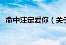 命中注定愛你（關(guān)于命中注定愛你的介紹）