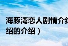 海豚灣戀人劇情介紹（關(guān)于海豚灣戀人劇情介紹的介紹）