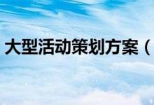 大型活動(dòng)策劃方案（大型活動(dòng)策劃方案示例）