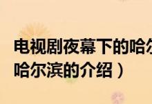 電視劇夜幕下的哈爾濱（關(guān)于電視劇夜幕下的哈爾濱的介紹）