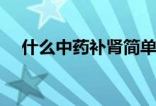 什么中藥補腎簡單又好（什么中藥補腎）