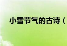 小雪節(jié)氣的古詩（小雪節(jié)氣的古詩精選）