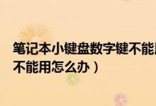 筆記本小鍵盤數(shù)字鍵不能用怎么回事（筆記本小鍵盤數(shù)字鍵不能用怎么辦）