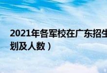 2021年各軍校在廣東招生計(jì)劃（2022各軍校在廣東招生計(jì)劃及人數(shù)）