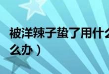 被洋辣子蟄了用什么辦法（洋辣子蜇到皮膚怎么辦）