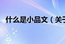 什么是小品文（關(guān)于什么是小品文的介紹）