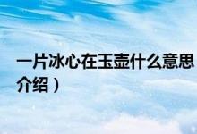 一片冰心在玉壺什么意思（關(guān)于一片冰心在玉壺什么意思的介紹）