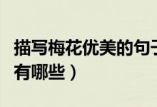 描寫梅花優(yōu)美的句子是（描寫梅花的優(yōu)美語(yǔ)句有哪些）