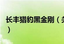 長豐獵豹黑金剛（關(guān)于長豐獵豹黑金剛的介紹）