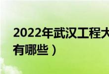 2022年武漢工程大學(xué)評(píng)價(jià)怎么樣（王牌專業(yè)有哪些）