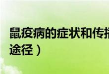 鼠疫病的癥狀和傳播途徑（鼠疫的癥狀和傳播途徑）