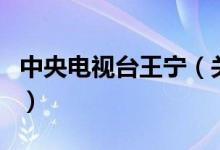 中央電視臺(tái)王寧（關(guān)于中央電視臺(tái)王寧的介紹）